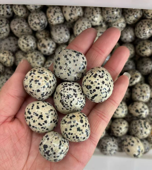 Playful 20-30mm Dalmatian Jasper Tumbled Stones - 1kg Bulk Joy & Protection Crystals (Spotted Stone with Natural Patterns)