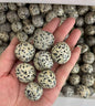 Playful 20-30mm Dalmatian Jasper Tumbled Stones - 1kg Bulk Joy & Protection Crystals (Spotted Stone with Natural Patterns)