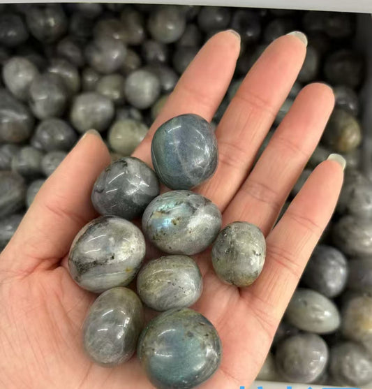 15-20mm Iridescent Gray Labradorite Tumbled Stones - 1kg Mystic Shield Crystals Bulk