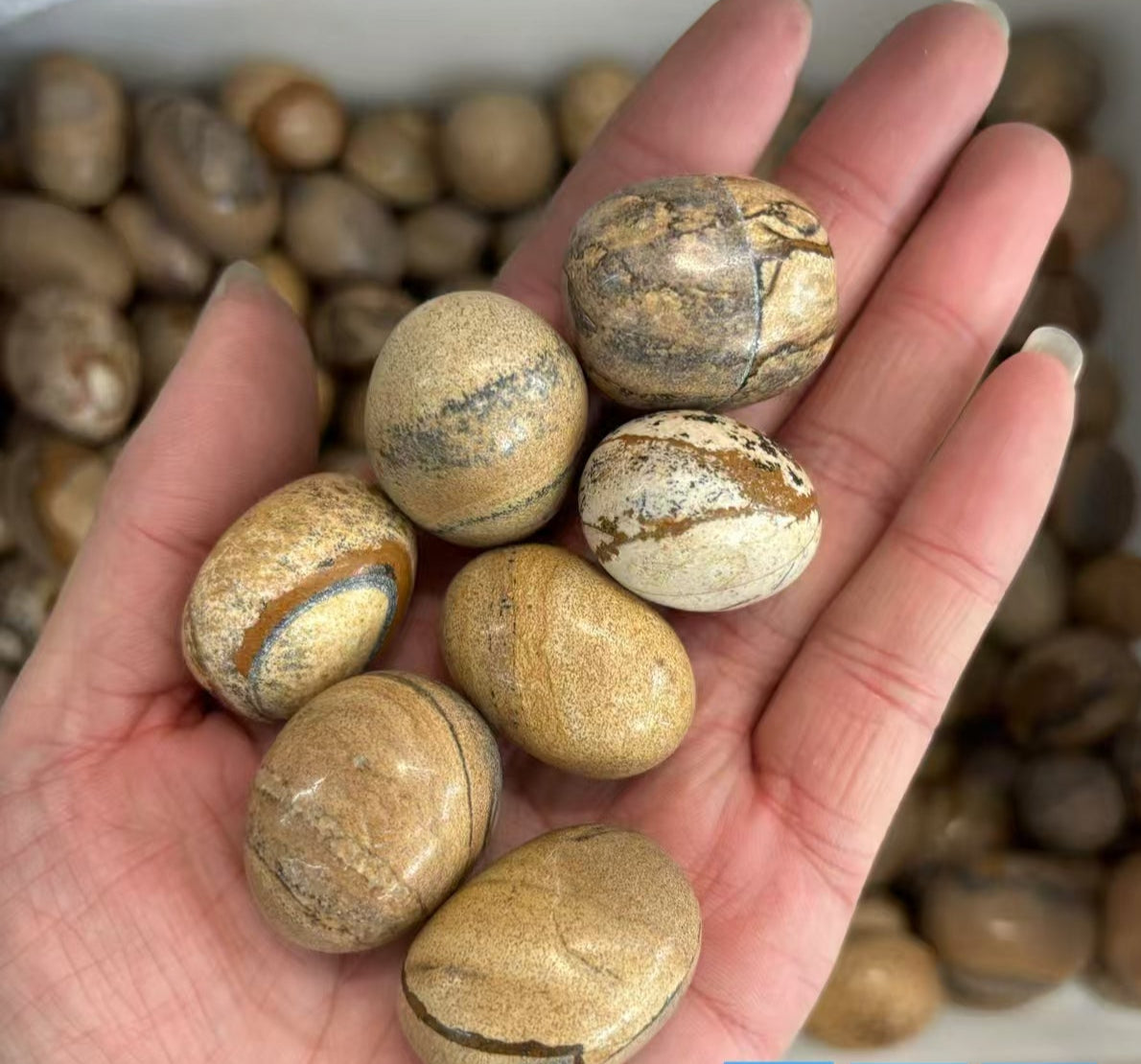 1kg Picture Jasper Stones 20-30mm - Nature's Art Gallery Tumbled Crystals - Earth Painting Quartz 20-30mm - 1kg Bulk Scenic Crystals for Meditation