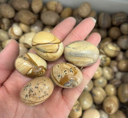 1kg Picture Jasper Stones 20-30mm - Nature's Art Gallery Tumbled Crystals - Earth Painting Quartz 20-30mm - 1kg Bulk Scenic Crystals for Meditation