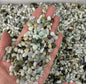 5-7mm Natural Green Jadeite Chips -1kg-Bulk price